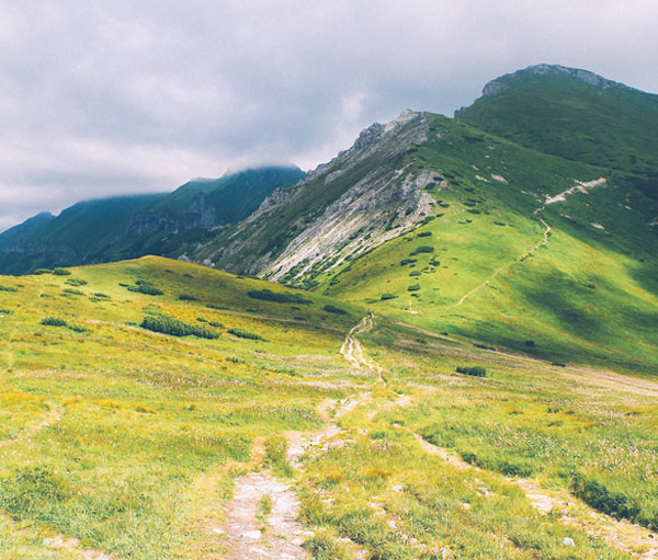 短信验证码轰炸在线版